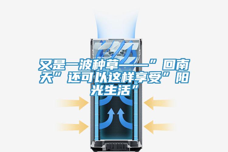 又是一波种草——”回南天”还可以这样享受”阳光生活”