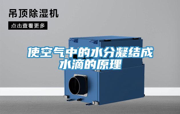 使空气中的水分凝结成水滴的原理