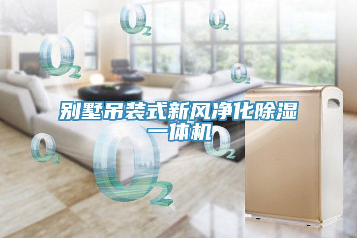别墅吊装式新风净化除湿一体机