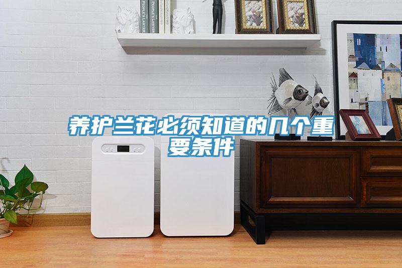 养护兰花必须知道的几个重要条件