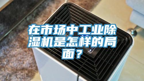在市场中工业除湿机是怎样的局面？