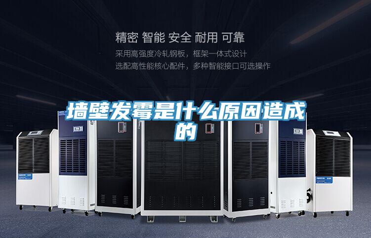 墙壁发霉是什么原因造成的