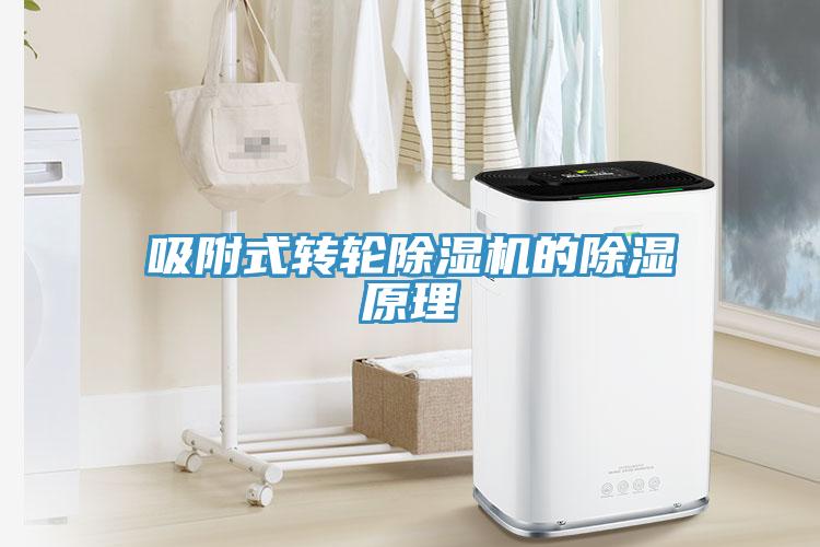 吸附式转轮除湿机的除湿原理