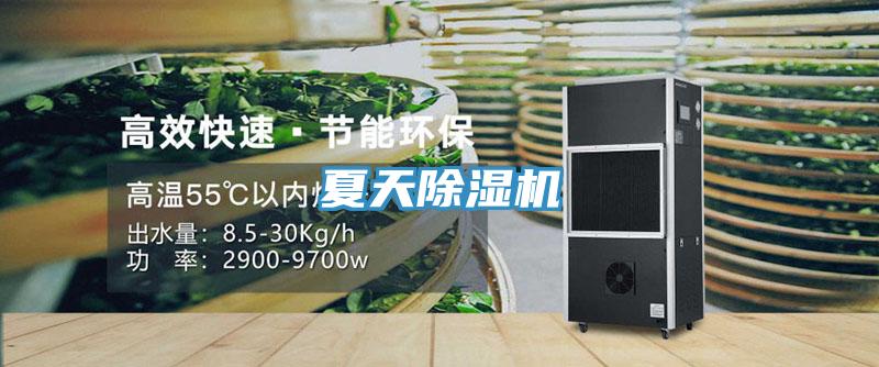 夏天除湿机