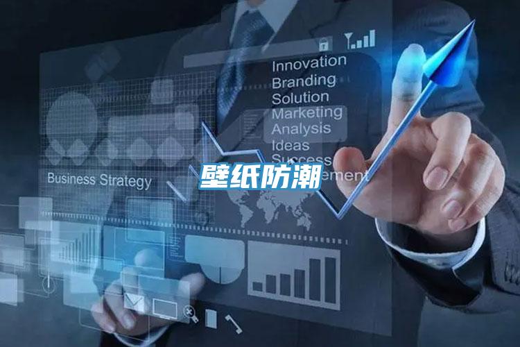壁纸防潮