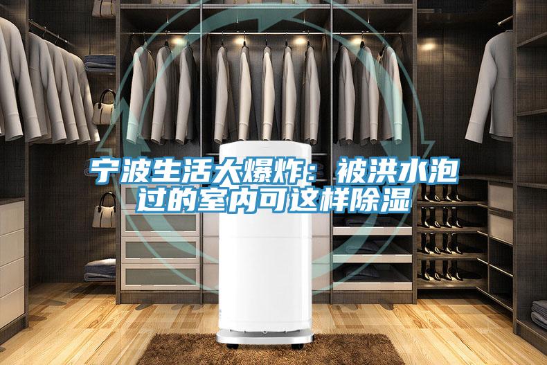 宁波生活大爆炸:被洪水泡过的室内可这样除湿