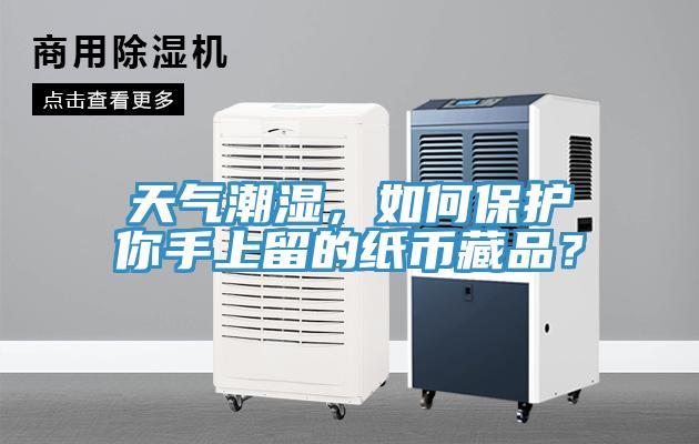 天气潮湿，如何保护你手上留的纸币藏品？