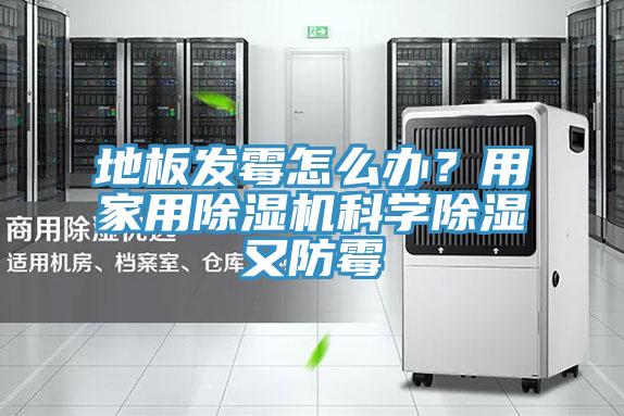 地板发霉怎么办？用家用除湿机科学除湿又防霉