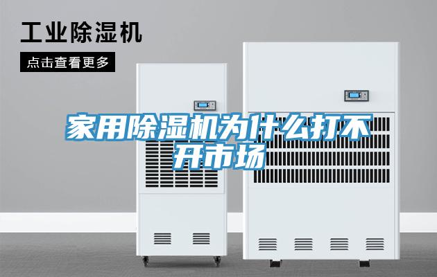 家用除湿机为什么打不开市场