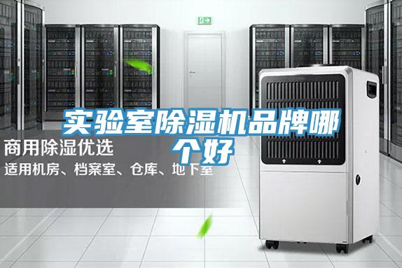 实验室除湿机品牌哪个好