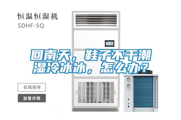 回南天，鞋子不干潮湿冷冰冰，怎么办？