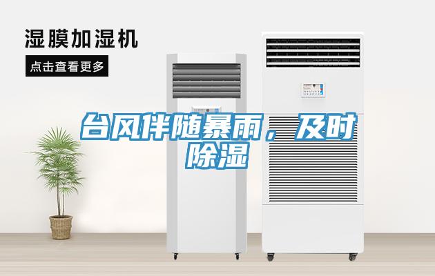 台风伴随暴雨，及时除湿