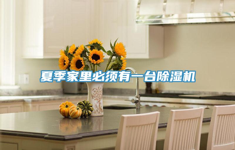 夏季家里必须有一台除湿机