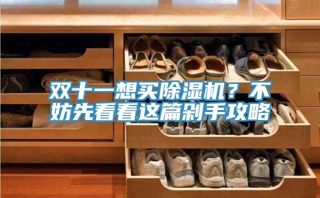 双十一想买除湿机？不妨先看看这篇剁手攻略