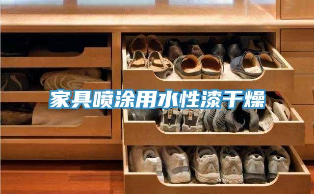 家具喷涂用水性漆干燥