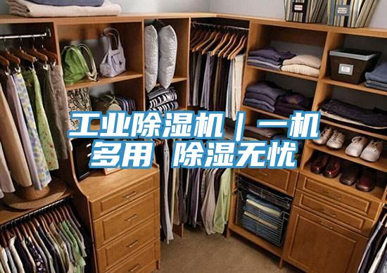 工业除湿机|一机多用 除湿无忧