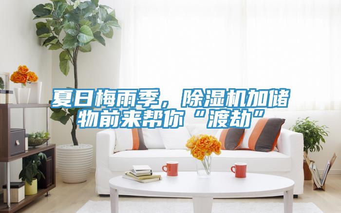 夏日梅雨季,除湿机加储物前来帮你“渡劫”