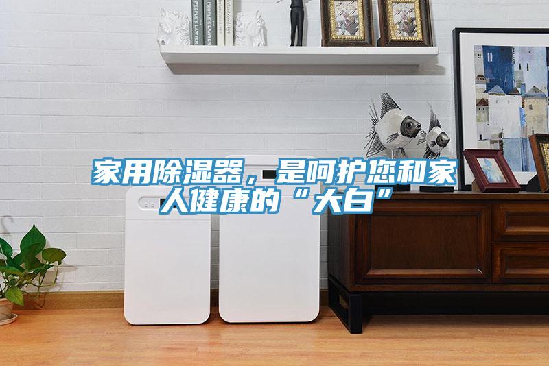 家用除湿器，是呵护您和家人健康的“大白”