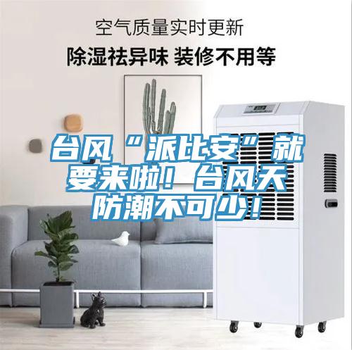 台风“派比安”就要来啦！台风天防潮不可少！