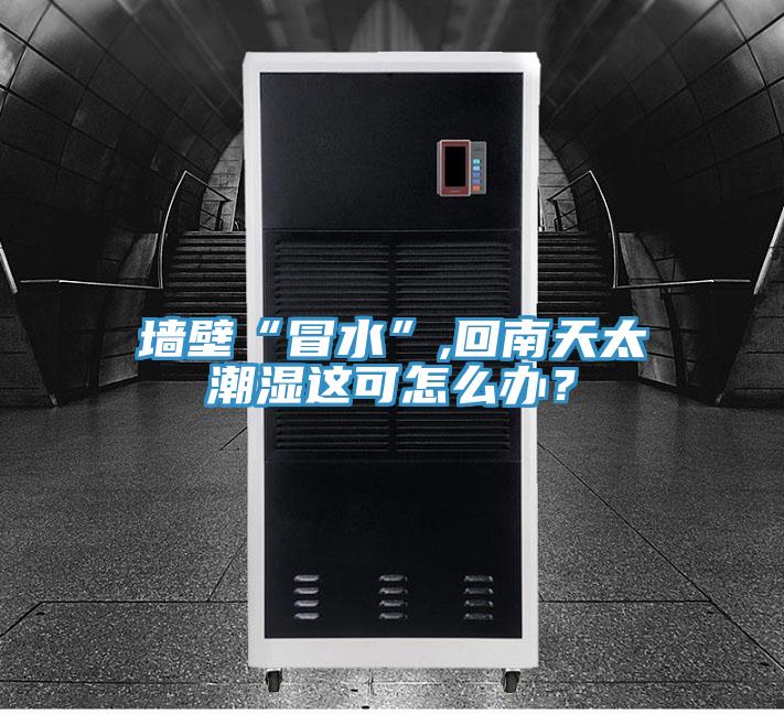 墙壁“冒水”,回南天太潮湿这可怎么办？