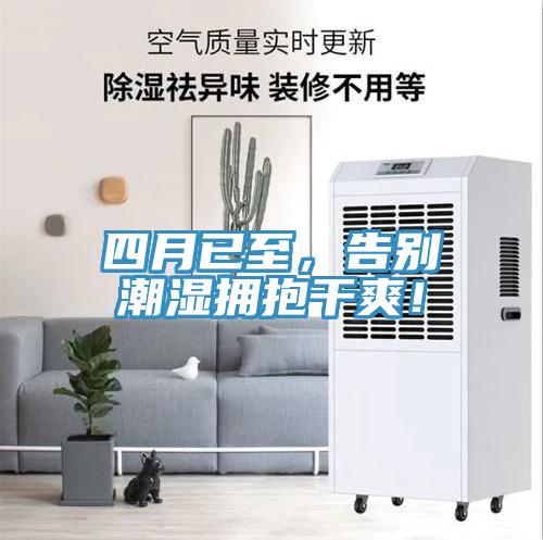 四月已至，告别潮湿拥抱干爽！
