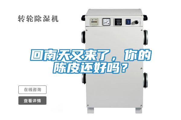 回南天又来了，你的陈皮还好吗？