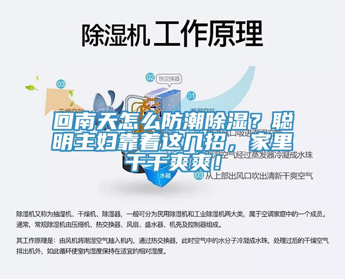 回南天怎么防潮除湿？聪明主妇靠着这几招，家里干干爽爽！