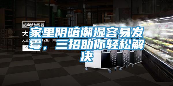 家里阴暗潮湿容易发霉,三招助你轻松解决