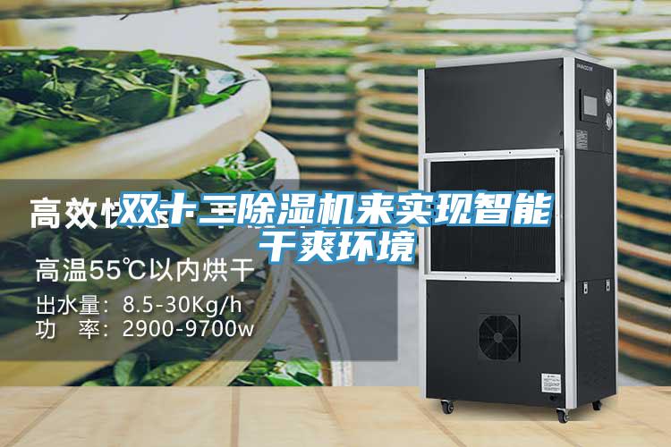 双十二除湿机来实现智能干爽环境