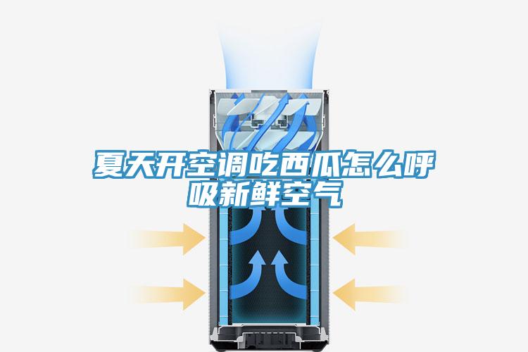 夏天开空调吃西瓜怎么呼吸新鲜空气