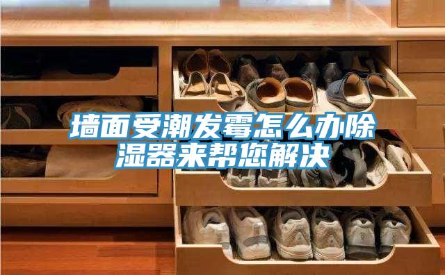 墙面受潮发霉怎么办除湿器来帮您解决