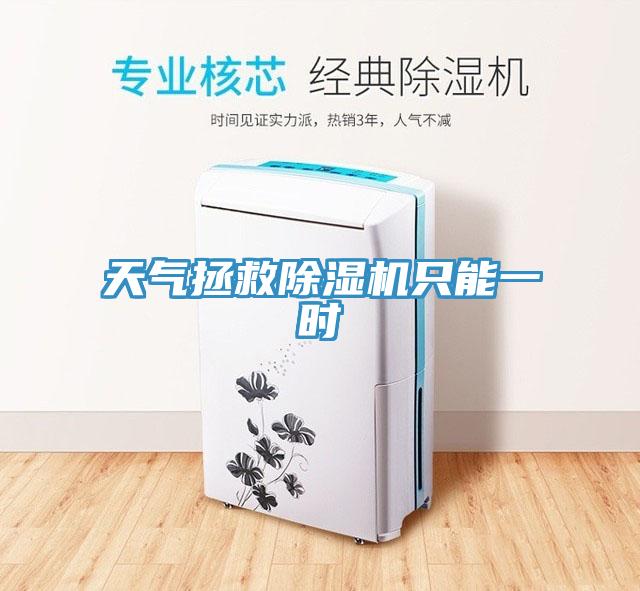天气拯救除湿机只能一时