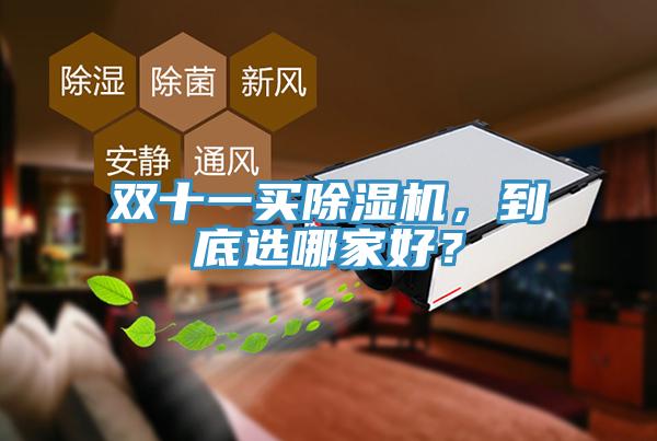 双十一买除湿机，到底选哪家好？