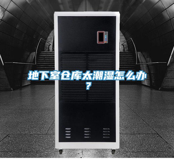 地下室仓库太潮湿怎么办？