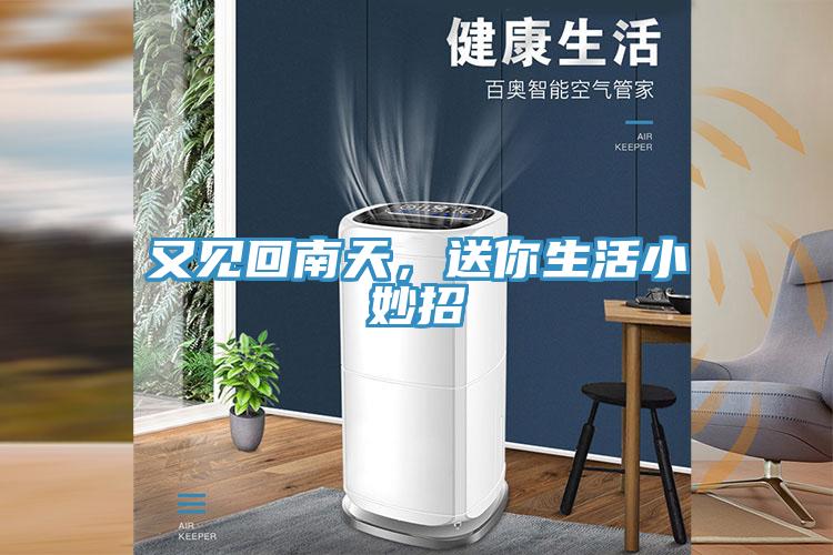 又见回南天，送你生活小妙招
