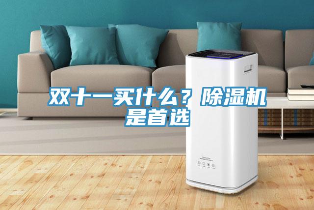 双十一买什么？除湿机是首选