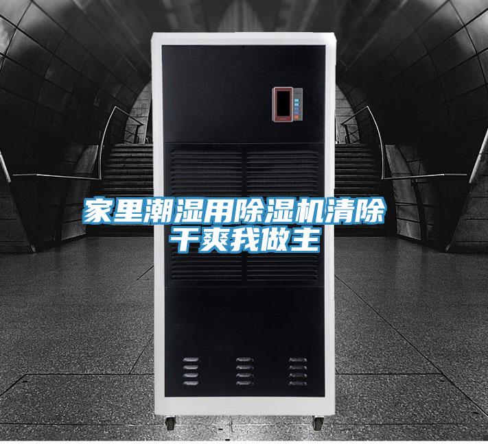 家里潮湿用除湿机清除 干爽我做主
