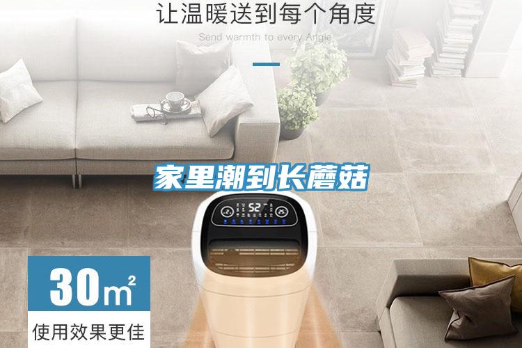 家里潮到长蘑菇