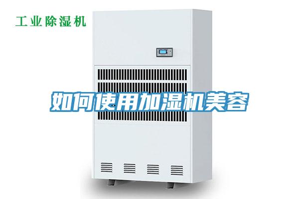 如何使用加湿机美容