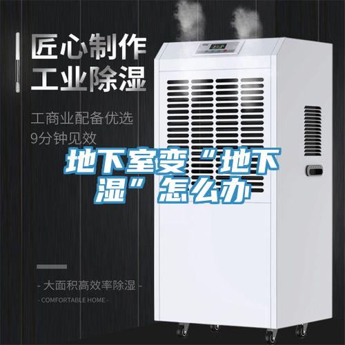 地下室变“地下湿”怎么办