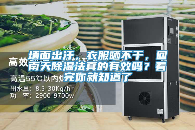 墙面出汗，衣服晒不干，回南天除湿法真的有效吗？看完你就知道了