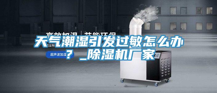 天气潮湿引发过敏怎么办？_除湿机厂家