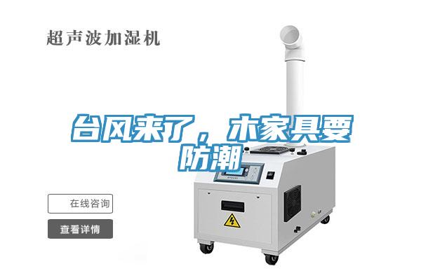 台风来了，木家具要防潮