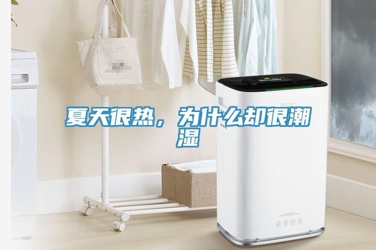 夏天很热，为什么却很潮湿
