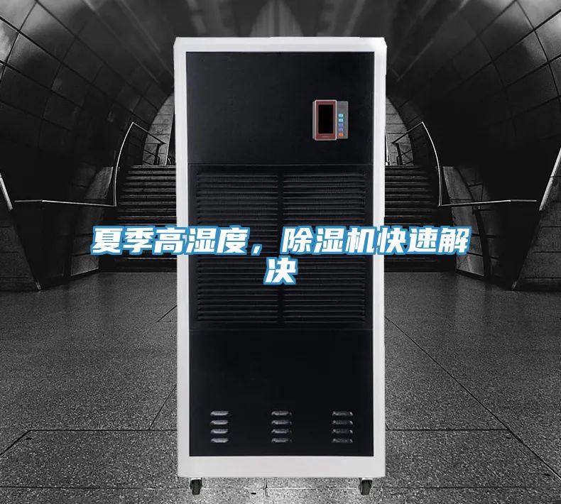 夏季高湿度，除湿机快速解决