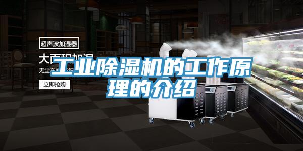 工业除湿机的工作原理的介绍