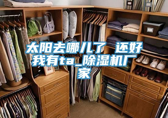 太阳去哪儿了 还好我有ta_除湿机厂家