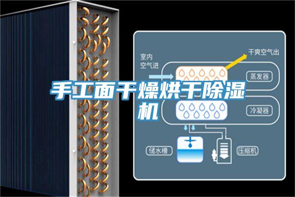 手工面干燥烘干除湿机