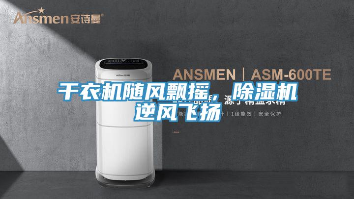 干衣机随风飘摇,除湿机逆风飞扬