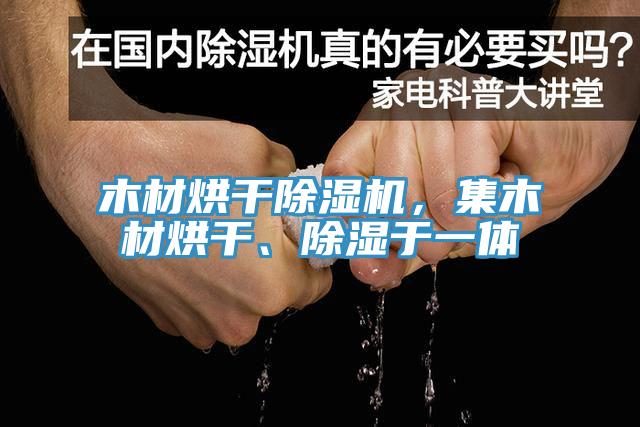 木材烘干除湿机，集木材烘干、除湿于一体